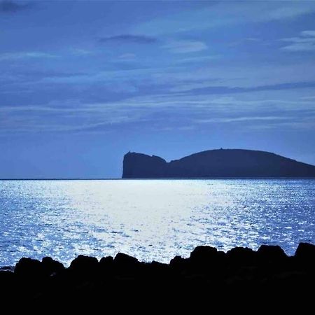 Alghero Sun & Sea - Spiaggia A 50 Metri ภายนอก รูปภาพ